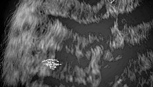 eskimo nell with her hairy beaver in vintage style