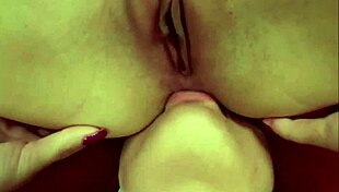 Creampie Swallow Compilation Part 2