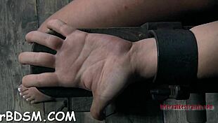 Caged Babes Coerce Gratification in Hardcore Game