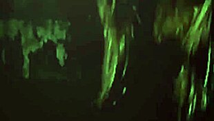 Asian ladyboy exposes ass in crossdressing video