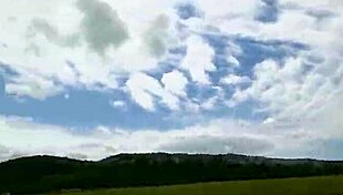 Deep Throating Pov Blowjob With Natural Tits In Outdoor Field