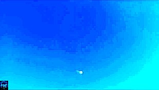 Excited African Couple Experiences Intense Emotions In Amateur Creampie On Beach