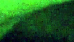 Who Wants to Join the Asian Twink Orgy?