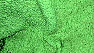 intriguing masturbation game with stepmother