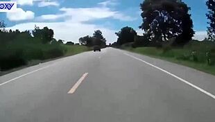 Risky blowjob in public toilet