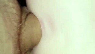 Aussie pussy gets wild anal pounding with massive cock