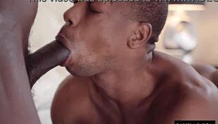 Hot Black Gay Sex Harder