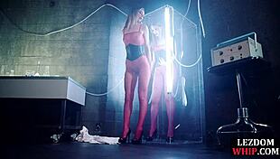 Lezdom Queening Her New Subject