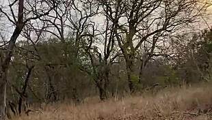 Angel Emily rides, gets anal, and blowjob in public safari setting 😏