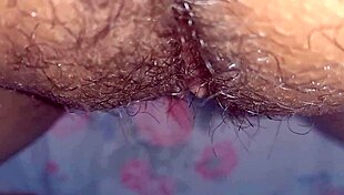 intriguing anime hentai with big features in softcore animation