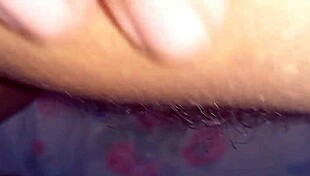 intriguing anime hentai with big features in softcore animation