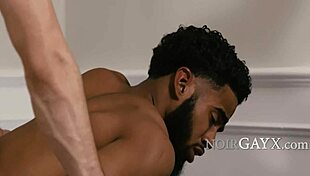 Peeping neighbor twink gets invited for ebony interracial bareback fucking with big black cock.