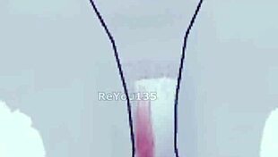 موظف جديد في لعبة ناضجة