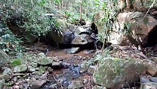 ebony teen deepthroats and gets creampied at the waterfall.