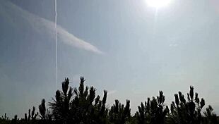 just francky stroking and finishing strong in the forest, pure nature vibe