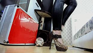 Financial Domination Homewrecker Takes Control