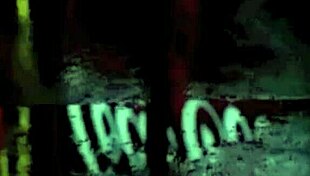 wonderful world of vintage pornography