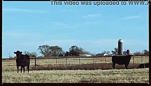 Married couple’s sensual experience on the Oklahoma farm