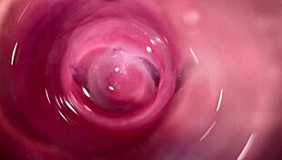 Camera captures close-up of tight wet vagina in roleplay