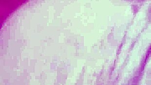 vivi guedez makes adult film without husband knowing