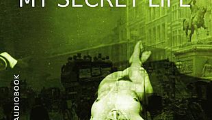 man, i can’t even describ how much i luv watchin these retro chicks gettin undressed n fucked!