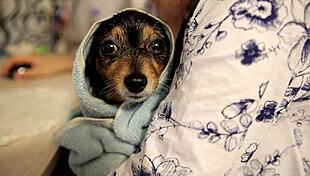 Dating app dos and donts