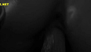 Intense Emotions in Hot Blowjob and Creampie for Beautiful Babe