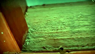 Intense Upskirt Tease By Cute Mexican Secretary In Public