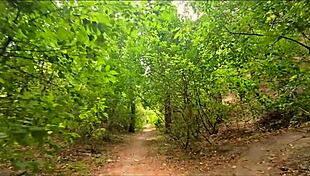 Please don't stop cumming inside me