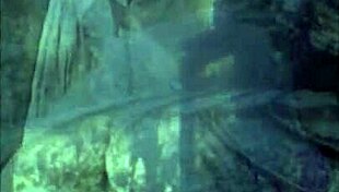 Two Centuries Of Vintage Pornography