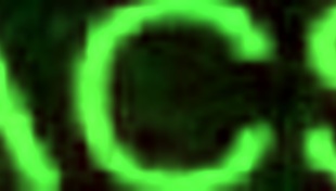 Cosplayjav Pl Acsm13 Adventure