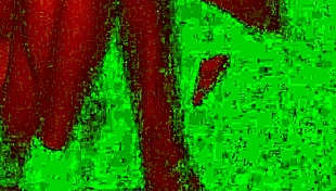 Couple gets rough in bad light, face fucking wildly 😈