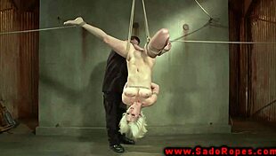 Bound Suspended Gagged BDSM Whore Dildo Fucked