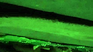 Hidden Camera Captures Indian Couple Having Sex with Cumshot in Secret Location