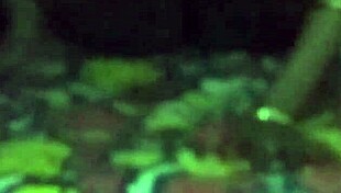 Indian Bhabhi Fucked Hard By Lifting Her Sleeping Body