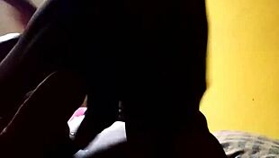 Bright young wife enjoying a sunny day