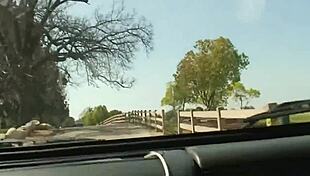 I-I mean, that tight 18+ teen pussy orgasms so hard!