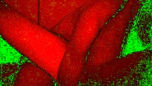 Couple gets rough in bad light, face fucking wildly 😈