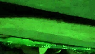 Hidden Camera Captures Indian Couple Having Sex with Cumshot in Secret Location