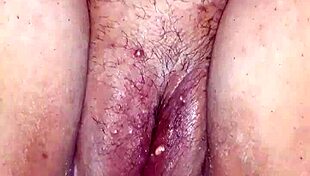 أنا أنيك كس وزب زوجتي السمينة ديليسيا