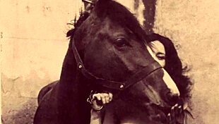 Watch vintage taboo action with hairy pussy and pooch outdoors.