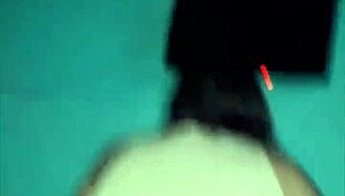 Gordita Compilation of Fun Moments