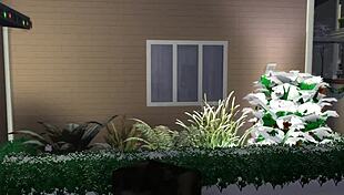 the grinch is an old man in anime hentai, but i meant grich oops