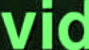 Interracial pussy lick session