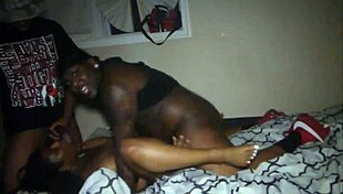 Lalaondisclit 101 Houston