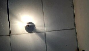 i'm showin the brunette's sexy ass all over on xvideos red