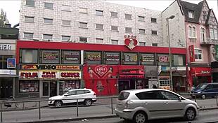 Buck wild's final day exploring hamburg germany