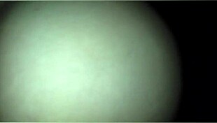 vanuza laure caught me, i couldn't resist her touch