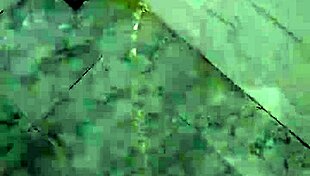 Pissing in the Shower