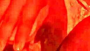 Mexican Wife Plays Alone With 22Cm Dildo And Squirts